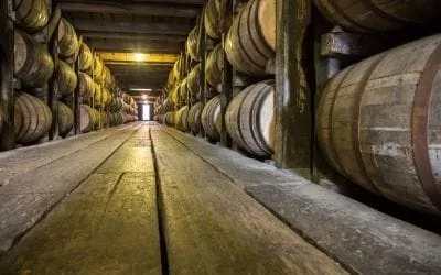 envejecimiento de los mejores whiskys